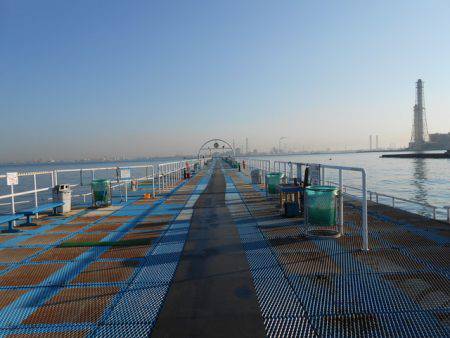 オリジナルメーカー海づり公園(市原市海づり施設) 釣果