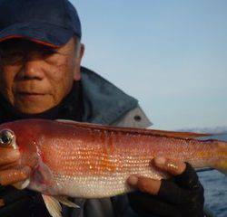 松福丸 釣果