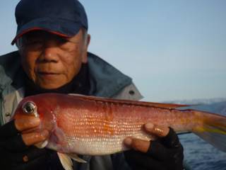 松福丸 釣果