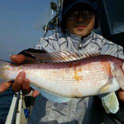 つれ鷹丸 釣果