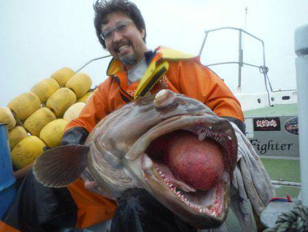 オーシャンパイオニア 釣果