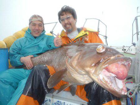 オーシャンパイオニア 釣果