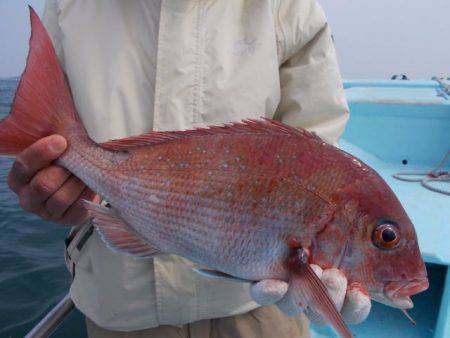 正将丸 釣果