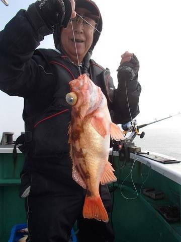 第二むつ漁丸 釣果