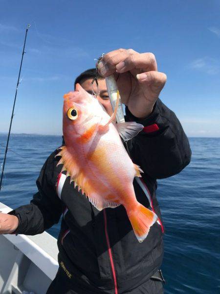 へいみつ丸 釣果