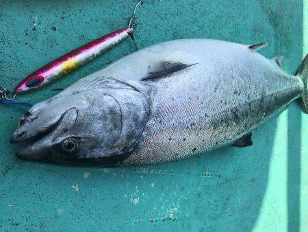 広進丸 釣果