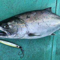 広進丸 釣果