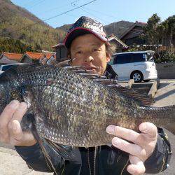 千鳥丸 釣果