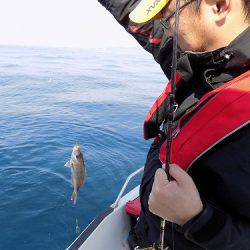 フィッシングボート空風 釣果