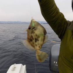 フィッシングボート空風（そらかぜ） 釣果