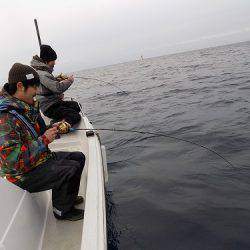 フィッシングボート空風（そらかぜ） 釣果