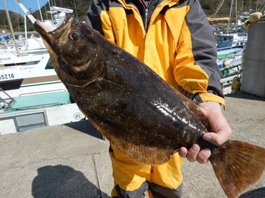 第一進丸 釣果