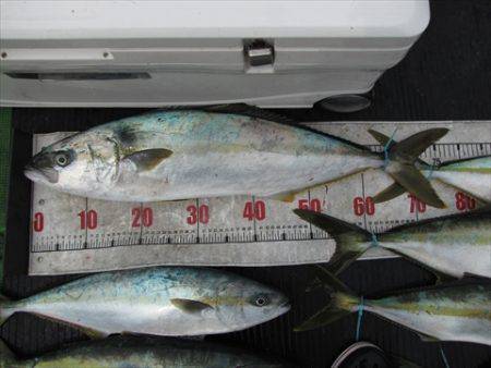 海宝丸　島根 釣果