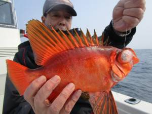 兼六丸 釣果