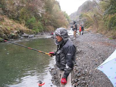 安倍川・藁科川（安倍藁科川漁業協同組合） 釣果