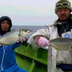 ゆたか丸 釣果