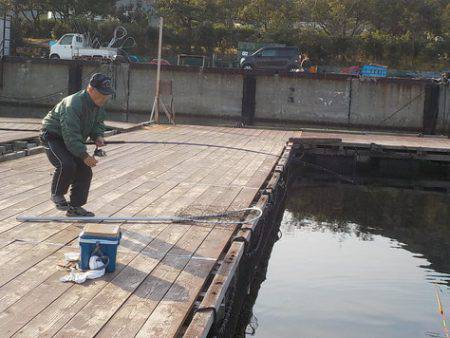 淡路じゃのひれフィッシングパーク 釣果