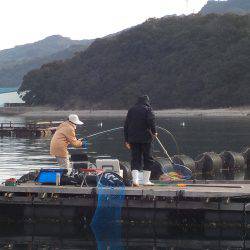 淡路じゃのひれフィッシングパーク 釣果