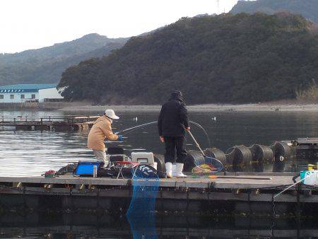 淡路じゃのひれフィッシングパーク 釣果