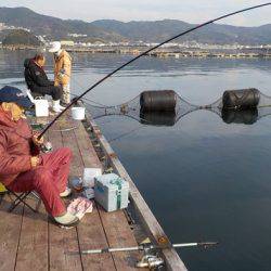 淡路じゃのひれフィッシングパーク 釣果