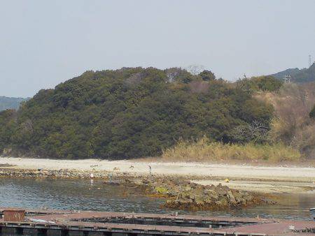 淡路じゃのひれフィッシングパーク 釣果