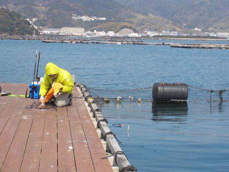 淡路じゃのひれフィッシングパーク 釣果