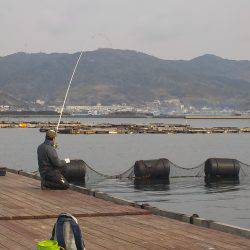 淡路じゃのひれフィッシングパーク 釣果