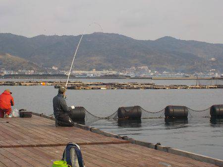 淡路じゃのひれフィッシングパーク 釣果