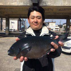 海星丸 釣果