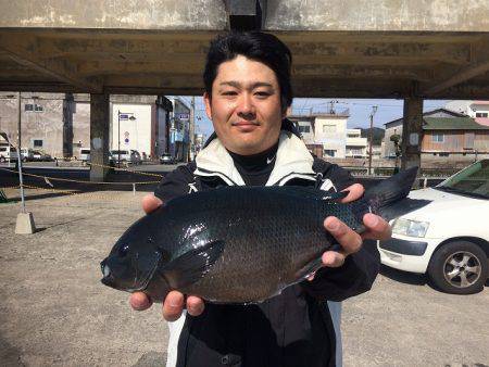 海星丸 釣果