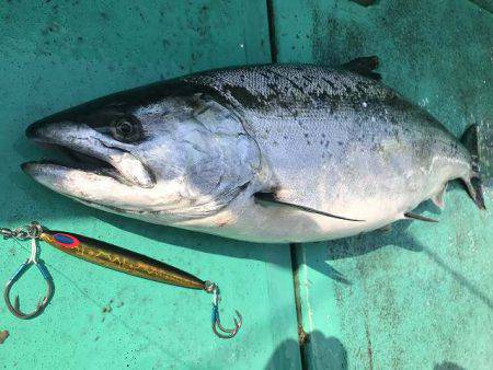 広進丸 釣果