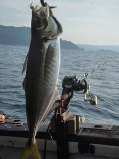 松福丸 釣果