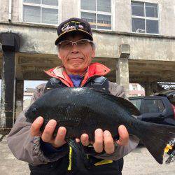 海星丸 釣果