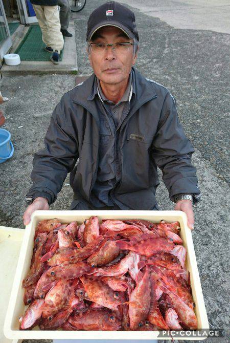 桑田観光 釣果