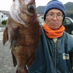 桑田観光 釣果