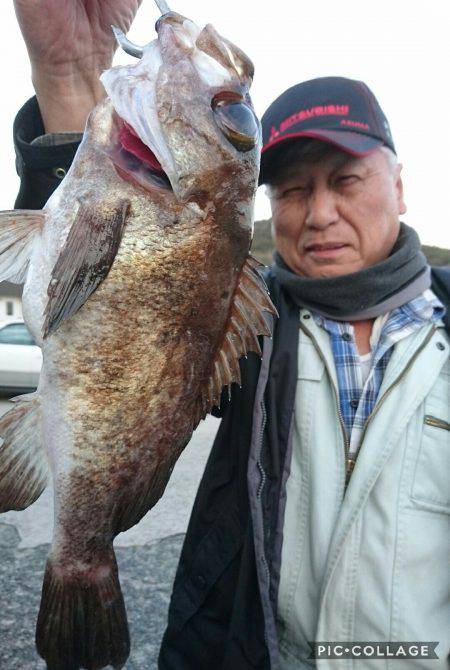 桑田観光 釣果