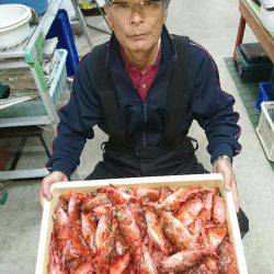 桑田観光 釣果