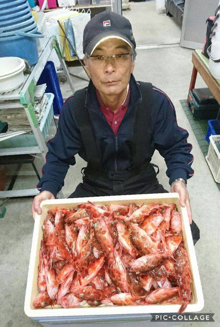 桑田観光 釣果