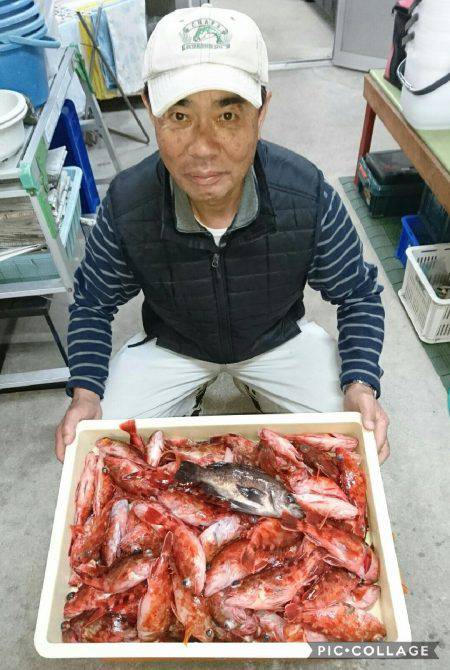 桑田観光 釣果