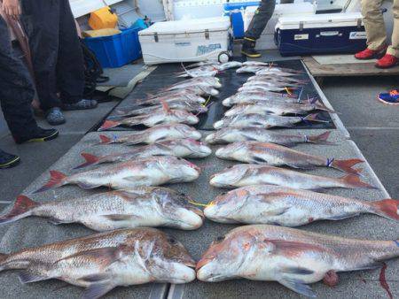 幸風（さちかぜ） 釣果