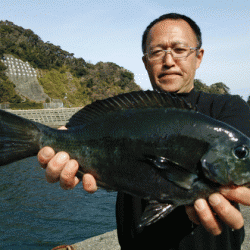 宮島丸 釣果