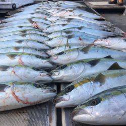 幸風（さちかぜ） 釣果