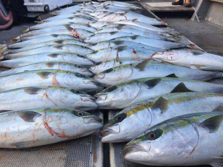 幸風（さちかぜ） 釣果