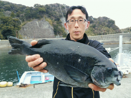 宮島丸 釣果