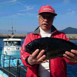 しば渡船 釣果