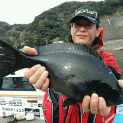 宮島丸 釣果