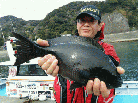 宮島丸 釣果