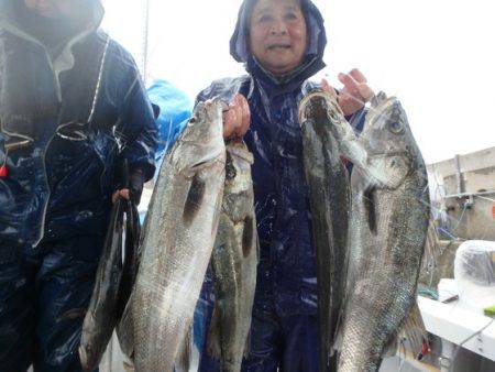 美里丸 釣果