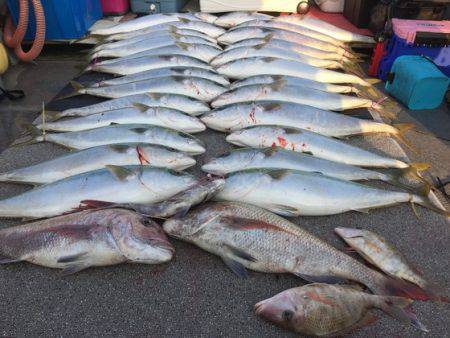 幸風（さちかぜ） 釣果