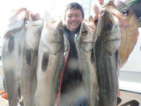 美里丸 釣果